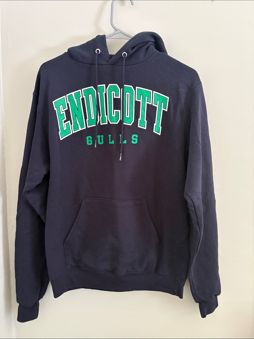Champion Navy Hooded Sweatshirt with Green Lettering